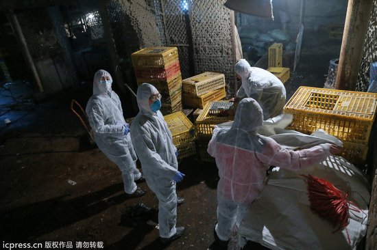 6日起,上海将暂时停止活禽交易,并关闭活禽市场。