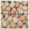 邢台粉蛋经济