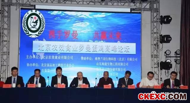 全面曝光品牌蛋首选品系“罗曼蛋鸡”的真实数据！