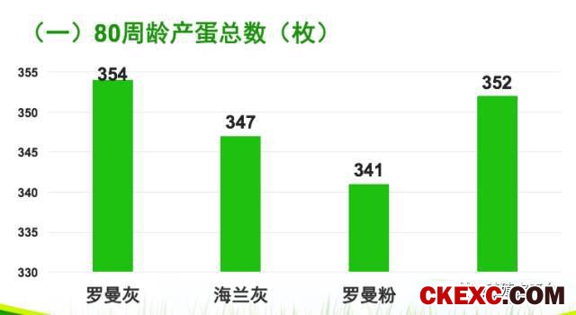 全面曝光品牌蛋首选品系“罗曼蛋鸡”的真实数据！