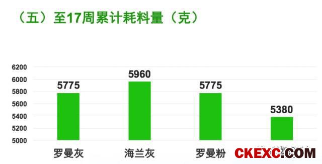 全面曝光品牌蛋首选品系“罗曼蛋鸡”的真实数据！