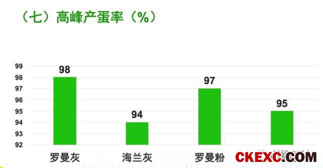 全面曝光品牌蛋首选品系“罗曼蛋鸡”的真实数据！
