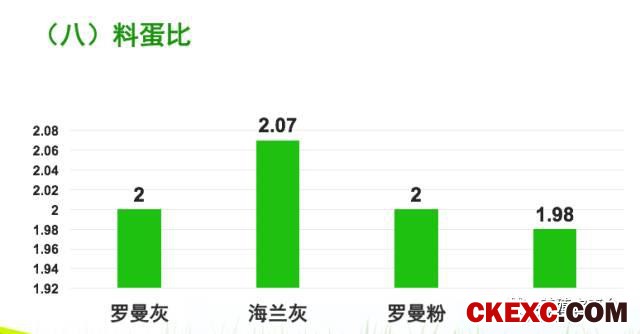 全面曝光品牌蛋首选品系“罗曼蛋鸡”的真实数据！