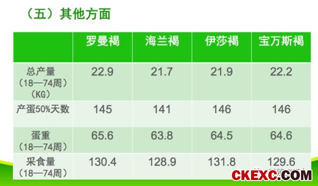 全面曝光品牌蛋首选品系“罗曼蛋鸡”的真实数据！