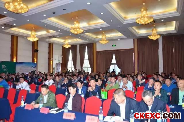 全面曝光品牌蛋首选品系“罗曼蛋鸡”的真实数据！