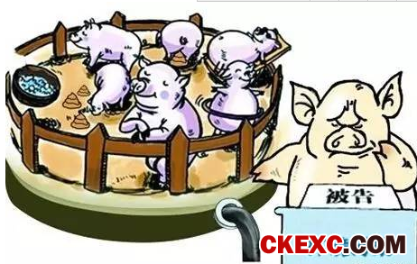 禁养拆迁潮席卷河南 漯河要清理百万头猪 郑州砸19亿来拆迁