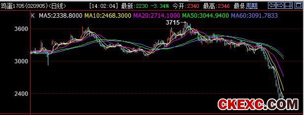 7旬老人借债养鸡 鸡蛋滞销含泪倒悬崖（附价格走势）