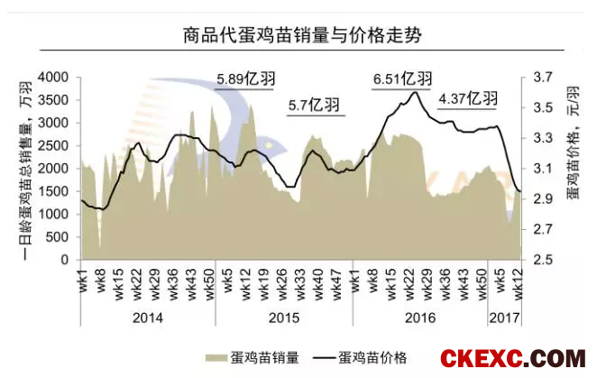 养鸡人的春天即将到来？真是这样吗？