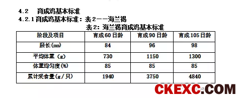 青年鸡行业如何良性发展?