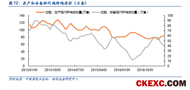 【安信农业 李佳丰团队】白羽肉鸡重磅深度：周期拐点渐近，进入左侧布局窗口
