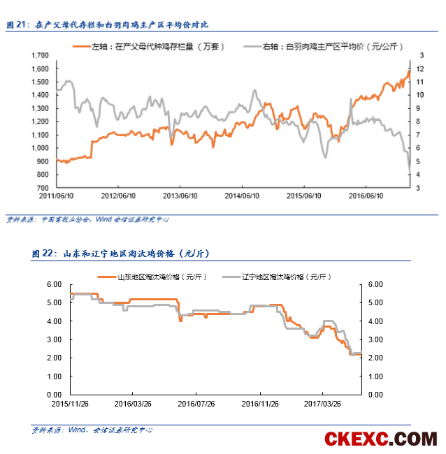 【安信农业 李佳丰团队】白羽肉鸡重磅深度：周期拐点渐近，进入左侧布局窗口