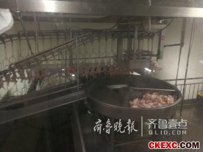厉害了!上半年烟台出口生禽肉产品量同比增长194.51%