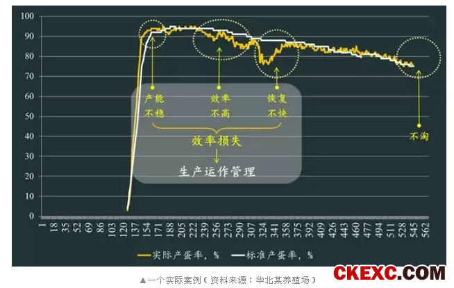 “纸”上谈兵：蛋鸡生产性能曲线及其在生产运作管理上的应用思考