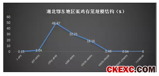 湖北浠水蛋鸡存栏大幅减少60%