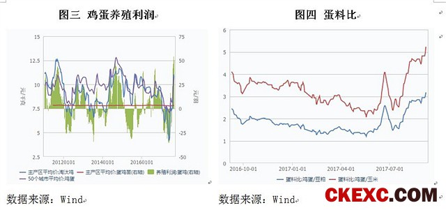 产地供应难以恢复 鸡蛋中期上行延续