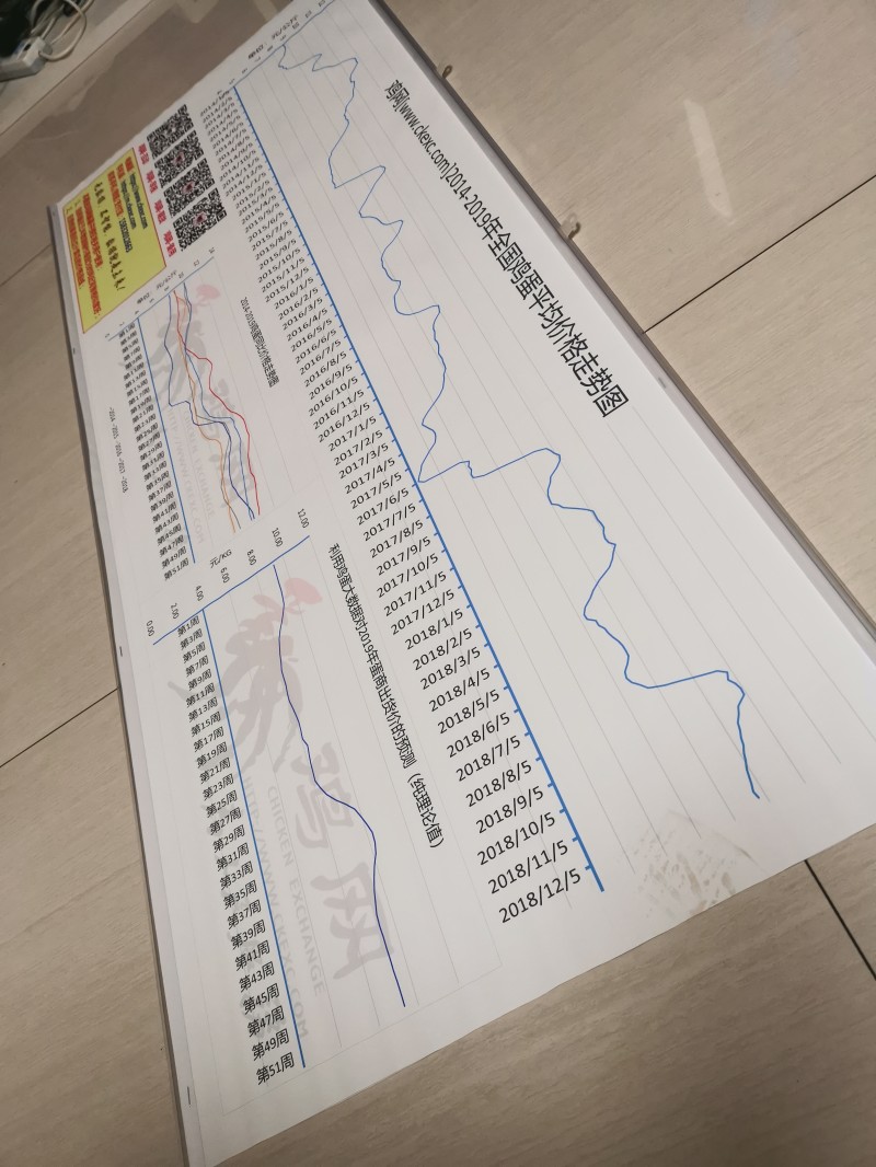 推广鸡网微信公众平台，赢鸡蛋价格数据图！