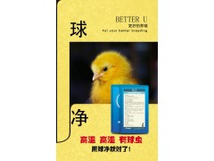家禽球虫 血便疾病克星!用瑞尔康球净来治疗就够了!图1