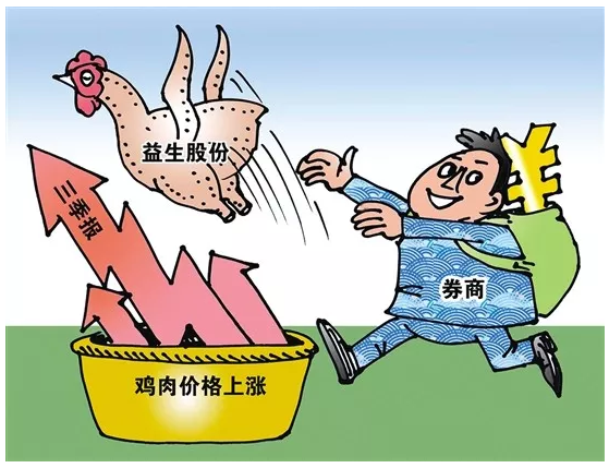广东肉鸡价格已持续5个月上涨，养殖平均利润4.30元/只