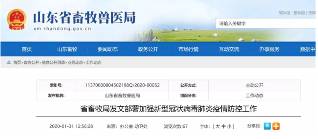 山东暂停省际间活禽调运，实行点对点调运