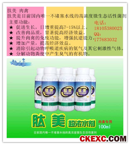 肽美肉禽