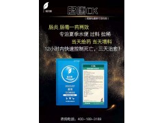 家禽患有大肠杆菌疾病，用什么专用药才算好图2
