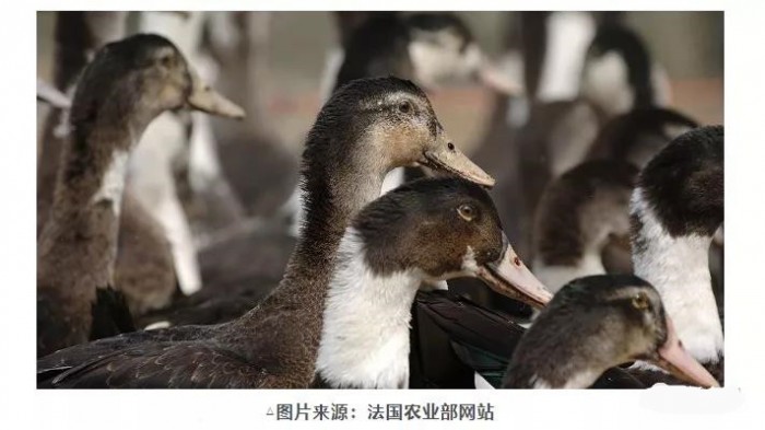 1_副本