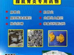加快出栏，降低料肉比，治疗腺肌胃炎特效药！图2